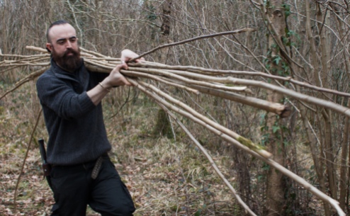 Gathering Hazel rods in a coppiced woodland in Co. Offaly