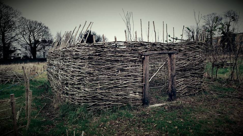 Viking house in progress at UCD Centre for Experimental Archaeology